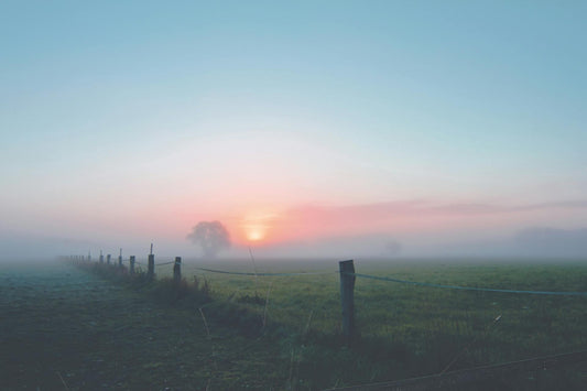 The Whisper of the Beloved: A Poem of Awakening