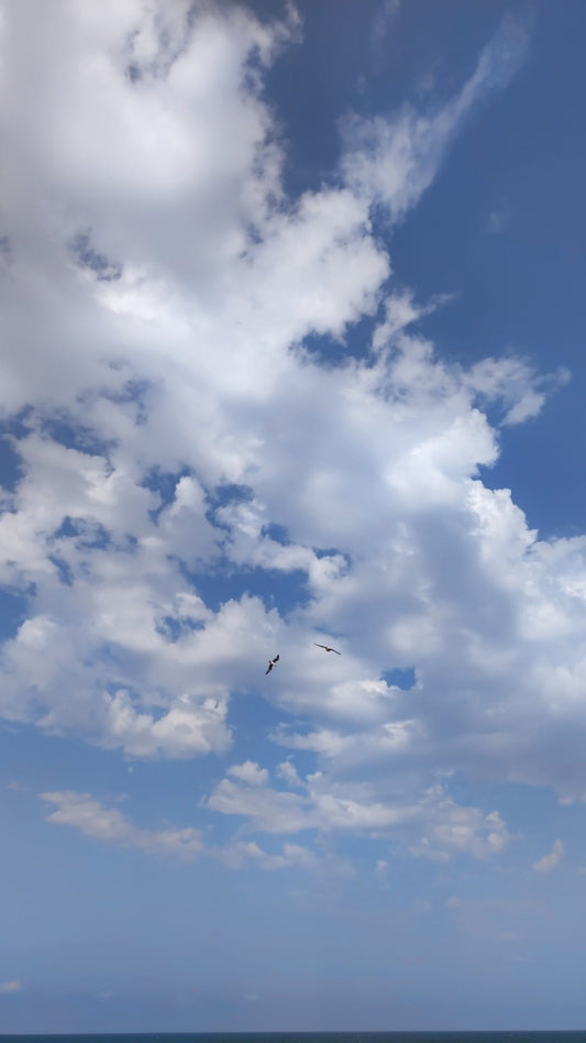 Love, I Will Love Again – A Poem